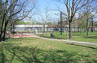 Strefa kibica w parku Henrykowskim? Pomysł dobry, ale spóźniony