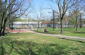 Strefa kibica w parku Henrykowskim? Pomysł dobry, ale spóźniony