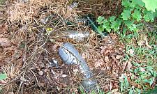 Spartaczona interwencja straży miejskiej