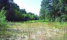 Park Wiśniewo: mieszkańcy się nie poddadzą