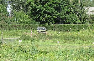 Skwer sportów jesienią, impreza w niedzielę