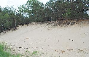 Rozkradają wydmy na Grudziach