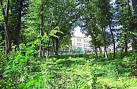 Galeria Modlińska czy park w Wiśniewie?