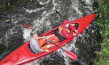 Fundacja Ave prosi o głosy