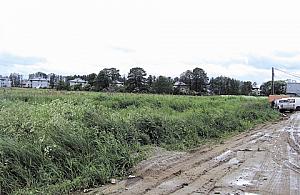 Magiczna po konsultacjach. Co chcemy?