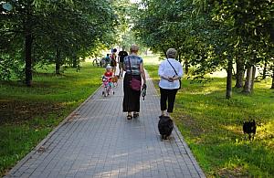 Park Górczewska: remont alejek i koniec z psami!