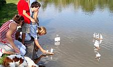 Domek Herbaciany pełen kultury