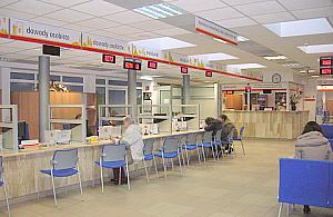 Do wolskiego ratusza przez internet