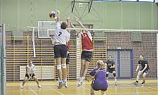 Digi i Żiby najlepsze w Białołęckiej Lidze Siatkówki