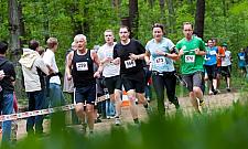 Puchar Maratonu w Międzylesiu