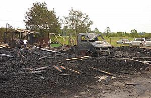 Pomóżmy koniom wrócić do Niegowa!