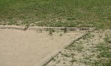 Piaskownica na Piaskowej: idealna dla psów i kotów