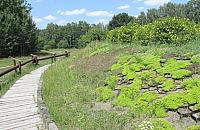 Zapaleńcy promują grodzisko na Bródnie