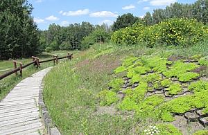 Zapaleńcy promują grodzisko na Bródnie