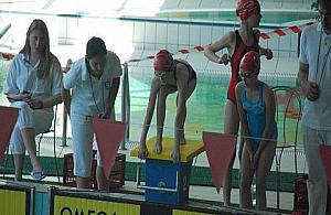 Bemowskie Pingwiny płyną coraz szybciej