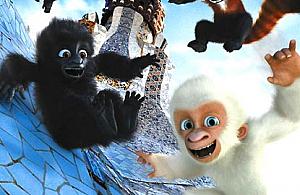 Dziecięce kino letnie w Świcie