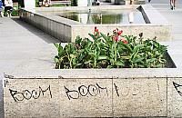 Co z tym monitoringiem w parku Wiecha?