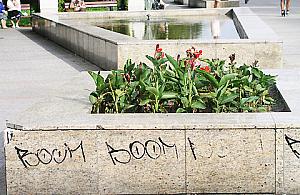 Co z tym monitoringiem w parku Wiecha?