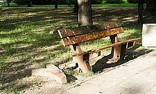 Co z tym monitoringiem w parku Wiecha?