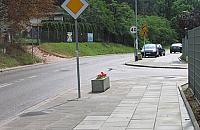 Nowość na Majolikowej: zamiast lustra... donice