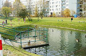 Chomiczówka: długa kolejka do huśtawki