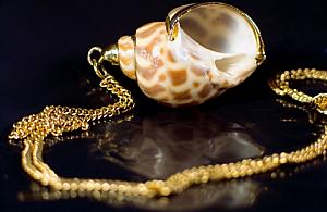 Łańcuszkowi złodzieje - nie do namierzenia?