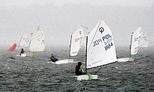 Fir, czyli żagle w Wawrze?