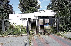 Oligocenki: wolą pomarzyć niż naprawić