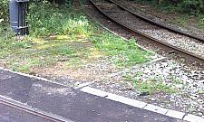 Cicha i niebezpieczna dwudziestka na Kaliskiego