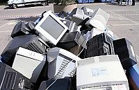 Sadzonki za śmieci - ruszaj pod ratusz