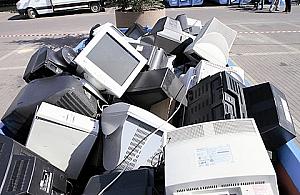 Sadzonki za śmieci - ruszaj pod ratusz