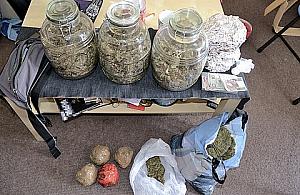 Karma dla psa Kory w Jabłonnie