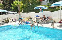 Lemury wróciły z wakacji. Czas na trening