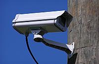 Inspektor Melon - nasz bat na wandali