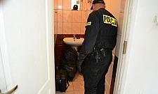 Zasnął podczas obrabiania kościoła