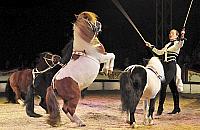 Niezły cyrk na Bemowie