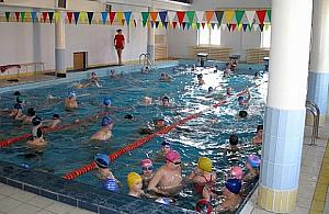 Pelikanek uczy pływać w Jabłonnie