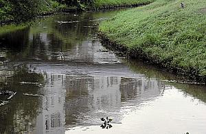 Osiem mostków na kanale, a co ze smrodem?