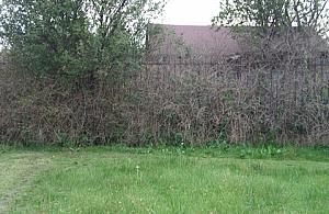 Fort Lewinów niszczeje. Wojsko się do niego nie przyznaje