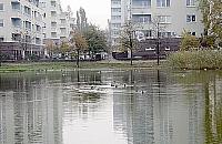 Jeziorzec wypięknieje. Co z Gliniankami Jelonek?