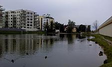 Jeziorzec wypięknieje. Co z Gliniankami Jelonek?