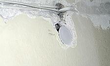 Szczury biegają przy Żuromińskiej