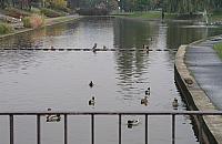 Park Bródnowski - ludzie opowiadają, że lepszego nie ma