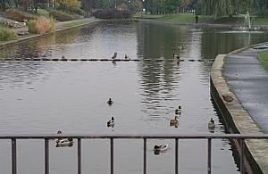 Park Bródnowski - ludzie opowiadają, że lepszego nie ma