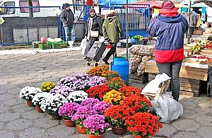 Więcej szambiarek niż autobusów? Czy Wawer da się lubić?