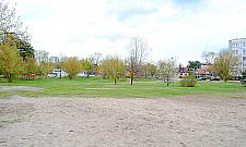 Działka przy Mickiewicza nie na sprzedaż