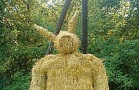 Miś wraca i otwiera oczy niedowiarkom