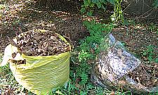 Zbierz liści dużą kupę i nie chowaj za chałupę...