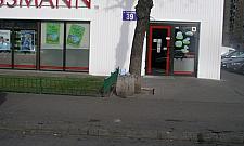 Żebrze pod urzędem, codziennie z innym dzieckiem