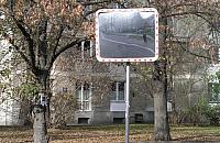ZDM: lustra bardziej szkodliwe ni� po�yteczne